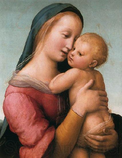 RAFFAELLO Sanzio The Tempi Madonna